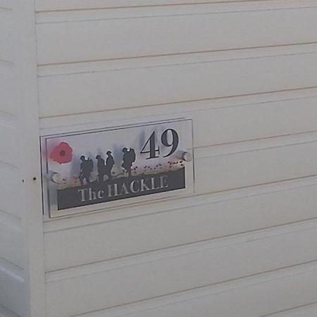 The Hackle Hot Tub Retreat Apartment Felton  Exterior photo